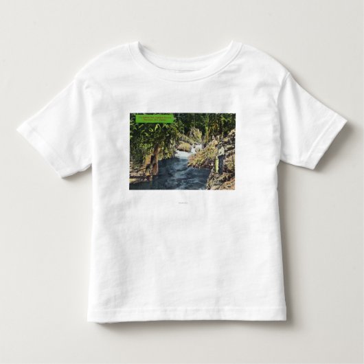 Capilano Canyon Uitzicht van de zalmpool Kinder Shirts (Voorkant)