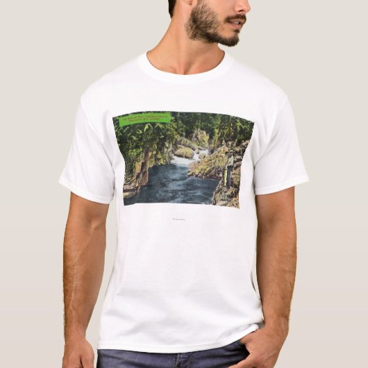 Capilano Canyon Uitzicht van de zalmpool T-shirt (Voorkant)