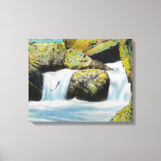 Capilano Canyon Uitzicht van zalmlekkage stroomopw Canvas Afdruk (Voorkant)