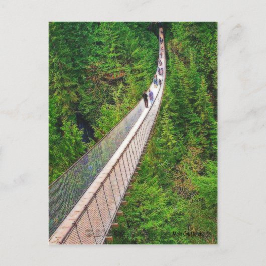 Capilano Suspension Bridge Briefkaart (Voorkant)