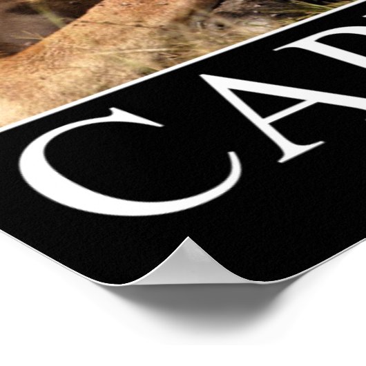 Capitalisme Demotivationaal Poster (Hoek)