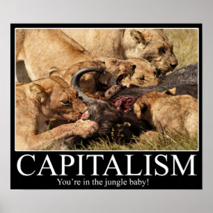 Capitalisme Demotivationaal Poster