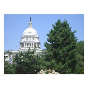 Capitol Building vanuit Bartholdi Park Foto Afdruk