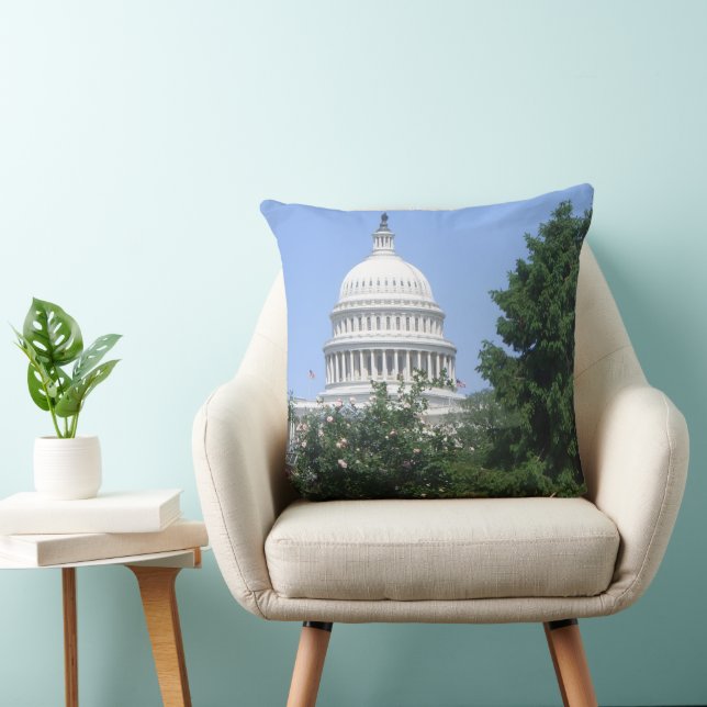 Capitol Building vanuit Bartholdi Park Kussen (Stoel)