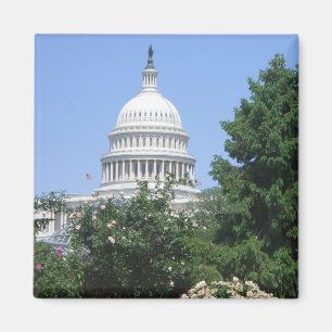 Capitol Building vanuit Bartholdi Park Magneet