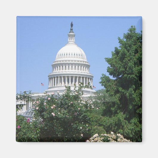 Capitol Building vanuit Bartholdi Park Magneet (Voorkant)