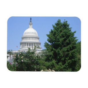 Capitol Building vanuit Bartholdi Park Magneet