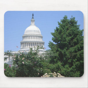 Capitol Building vanuit Bartholdi Park Muismat