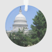 Capitol Building vanuit Bartholdi Park Ornament (achterkant)