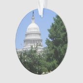 Capitol Building vanuit Bartholdi Park Ornament (voorkant)