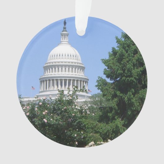 Capitol Building vanuit Bartholdi Park Ornament (voorkant)