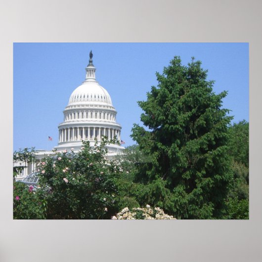 Capitol Building vanuit Bartholdi Park Poster (Voorkant)