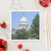 Capitol Building vanuit Bartholdi Park Servet (Insitu)