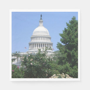 Capitol Building vanuit Bartholdi Park Servet