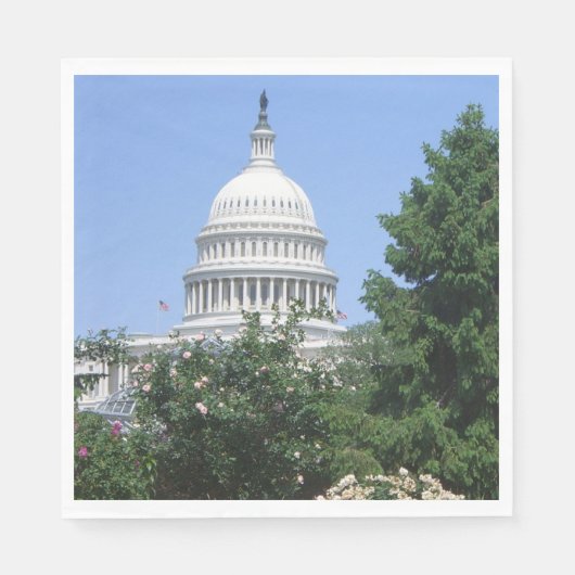 Capitol Building vanuit Bartholdi Park Servet (Voorkant)
