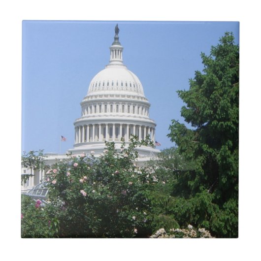 Capitol Building vanuit Bartholdi Park Tegeltje (Voorkant)