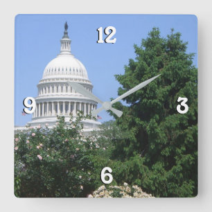 Capitol Building vanuit Bartholdi Park Vierkante Klok
