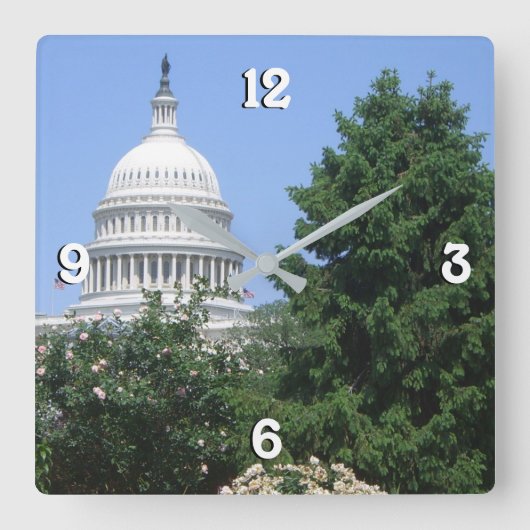 Capitol Building vanuit Bartholdi Park Vierkante Klok (Voorkant)