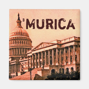 Capitol Building Washington DC Murica America 1900 Magneet