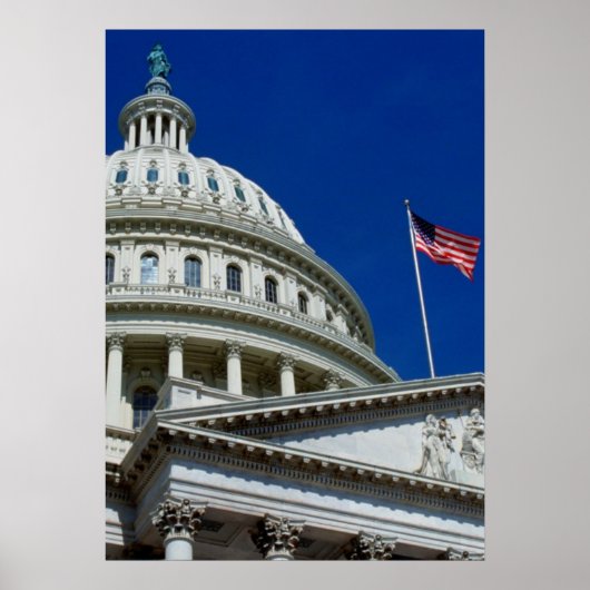 Capitol Building, Washington, VS Poster (Voorkant)