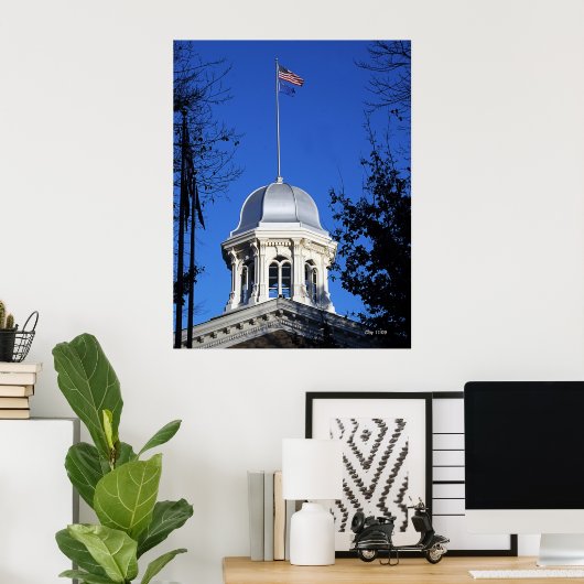 Capitol Dome, Carson City Poster (Thuiskantoor)