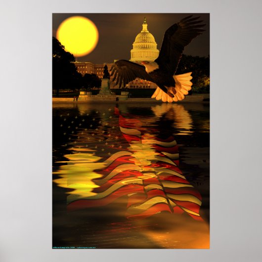 Capitol-Eagle-Flag-W-O-Sun-ray-set-2 Poster (Voorkant)