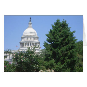 Capitol-gebouw van Bartholdi Park