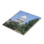 Capitol-gebouw van Bartholdi Park Tegeltje (Zijkant)