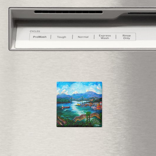 Capitol Hill Magneet (Insitu (Vaatwasser))