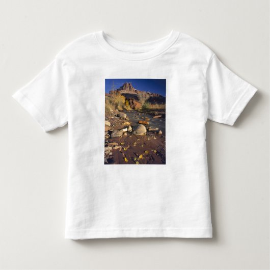 CAPITOL REEF NATIONAAL PARK, UT, US, Cottonwood Kinder Shirts (Voorkant)