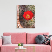 Capitol Reef National Park, Claret Cup Cactus Canvas Afdruk (Insitu (Woonkamer))