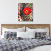 Capitol Reef National Park, Claret Cup Cactus Canvas Afdruk (Insitu (Slaapkamer))
