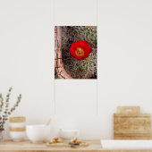 Capitol Reef National Park, Claret Cup Cactus Poster (Keuken)