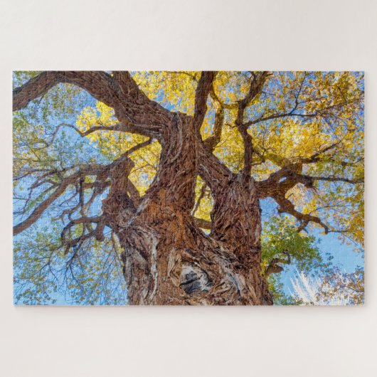 Capitol Reef National Park, Katoenboom Legpuzzel (Horizontaal)