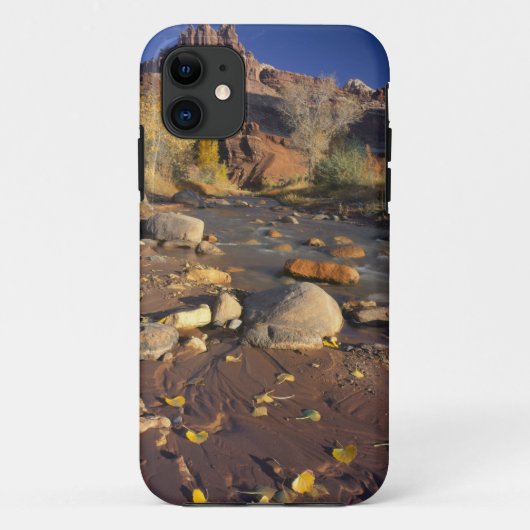 CAPITOL REEF NATIONAL PARK, UT, VS, Katoen hout Case-Mate iPhone Case (Achterkant)