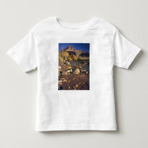 CAPITOL REEF NATIONAL PARK, UT, VS, Katoenboom Kinder Shirts