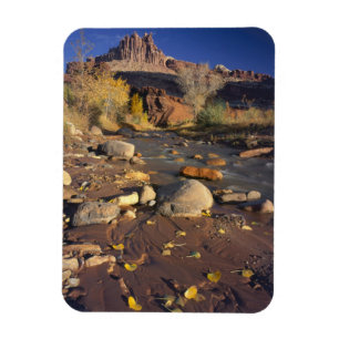 CAPITOL REEF NATIONAL PARK, UT, VS, Katoenboom Magneet