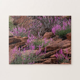 Capitol Reef National Park, Utah, Verenigde Staten Legpuzzel