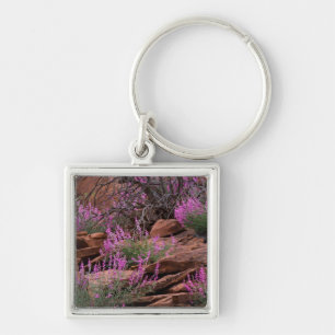 Capitol Reef National Park, Utah, VS Sleutelhanger