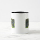 Capitol Stapt Uitzicht van het State Park Mok (Midden)