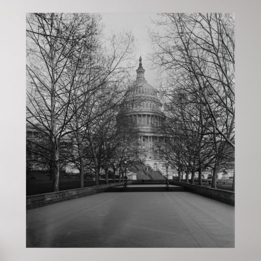 Capitol Verenigde Staten Poster (Voorkant)