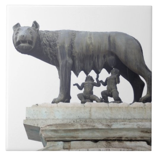Capitoline Wolf Statue (Zij-wolf zuigt op), Tegeltje (Voorkant)