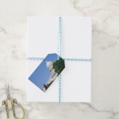 Capitoolgebouw in Washington DC Cadeaulabel (Met Touw)
