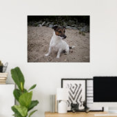 Capo von Oppenheim, Jack Russell Dog Poster (Thuiskantoor)