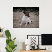 Capo von Oppenheim, Jack Russell hond Poster (Thuiskantoor)