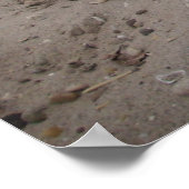 Capo von Oppenheim, Jack Russell hond Poster (Hoek)