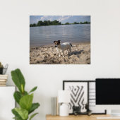Capo von Oppenheim, Jack Russell hond Poster (Thuiskantoor)