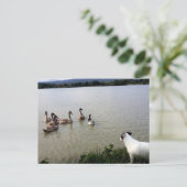 Capo von Oppenheim, Jack Russell Terrier Dog Briefkaart (Staand voorkant)