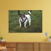 Capo von Oppenheim, Jack Russell Terrier Dog Canvas Afdruk (Insitu (Woonkamer))