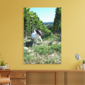 Capo von Oppenheim, Jack Russell Terrier, Dog Canvas Afdruk (Insitu (Woonkamer))
